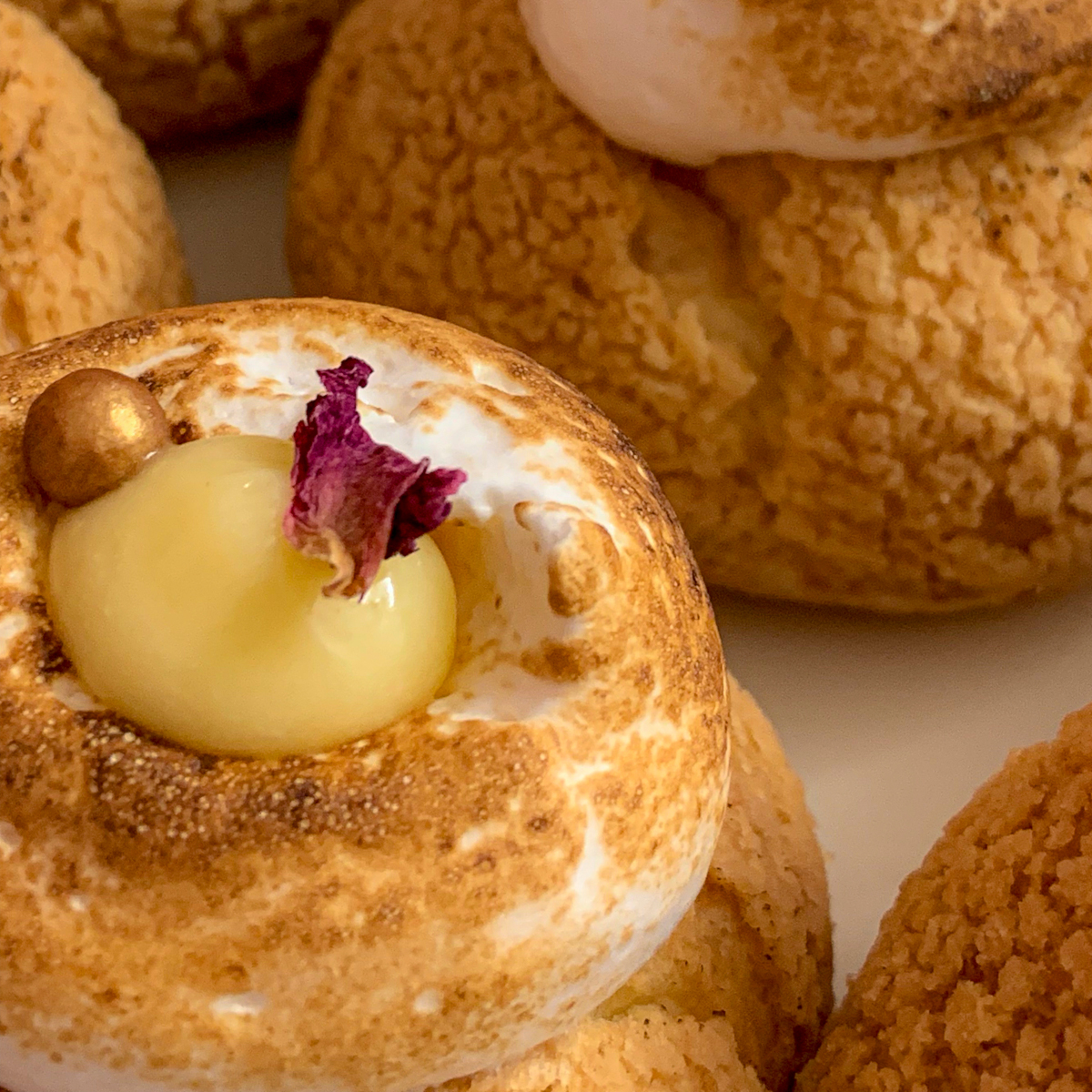 entremet_choux_09